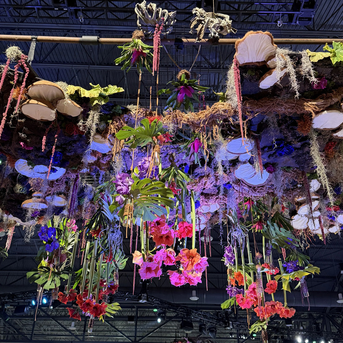 Philadelphia Flower Show takeaways